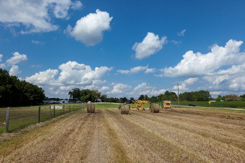 How to Sell Florida Land in a Trust?